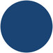 A blue circle with a white background containing the words "Roxy & Rich" and "Navy Blue Fondust" in white.