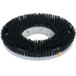 A circular object with black bristles.