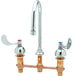 A white T&S deck mount medical lavatory faucet with two 4" wrist action handles.