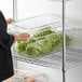 a person putting lettuce in a container