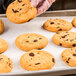 A person holding a Rich's chocolate chip cookie.