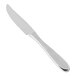A close-up of a Fortessa Grand City stainless steel steak knife with a white background.