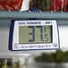 A Comark digital refrigerator/freezer thermometer on a shelf.