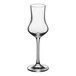 A clear Schott Zwiesel wine glass with a long stem.