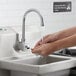 a person washing hands in a sink