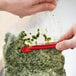 A person using a red Tangibles Pouchmate to cut a plastic bag of spinach.