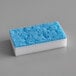 a blue and white sponge