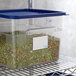 A plastic container with a Puracycle washable and reusable label holding green and brown beans.