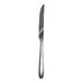 A Sant' Andrea Mascagni stainless steel steak knife with a shiny silver handle.