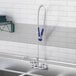 A Waterloo wall-mounted pre-rinse faucet with an add-on faucet above a sink in a school kitchen.