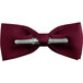 a bow tie with a metal bar