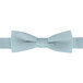 a close-up of a bow tie