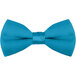 a close-up of a blue bow tie