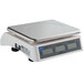 A white Globe digital price computing scale with a silver panel.