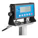 An AvaWeigh digital receiving scale with a tower display.