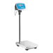 An AvaWeigh digital receiving scale with a tower display.