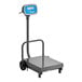 An AvaWeigh digital receiving scale on wheels with a tower display.