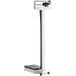 An AvaWeigh eye-level mechanical beam physicians scale with a black handle.