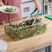 A woman using green tongs to serve salad from a Cambro clear plastic food pan on a salad bar counter.
