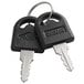 a pair of keys on a ring