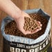 A hand holding a bag of Bear Mountain Apple BBQ wood pellets.