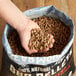 A hand holding a bag of Bear Mountain hardwood BBQ pellets.