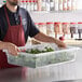 A man holding a Vigor clear polycarbonate food storage container filled with green leaves.
