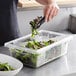 A person cutting lettuce into a Vigor clear polycarbonate food storage box.