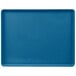 A blue rectangular tray with a white background.