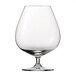 A Schott Zwiesel clear cognac glass with a stem.