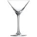 A clear Schott Zwiesel martini glass with a stem.