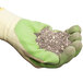 A gloved hand holding Victor Pest Snake-A-Way granules.