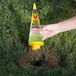 A hand holding a yellow Victor Pest Mole and Gopher Poison bottle over a hole in the grass.