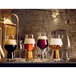 A group of Luigi Bormioli Birrateque beer glasses filled with different types of beer on a white table.