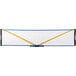 A Triumph multi-sport combo net with yellow and blue handles.