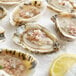 A close-up of a plate of Rappahannock River Oysters with a lemon slice.