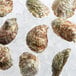 A group of Rappahannock Oysters on ice.
