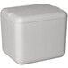 An insulated white styrofoam cooler with a lid.