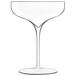 A Luigi Bormioli Vinea champagne coupe glass with a stem.