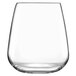 A Luigi Bormioli stemless wine glass.