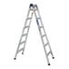 A pair of aluminum Cosco ladders with multiple steps.