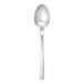 A close-up of a Fortessa Arezzo stainless steel spoon with a silver handle