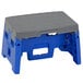 A blue and grey plastic Cosco step stool.