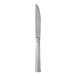 A Fortessa Doria stainless steel steak knife with a solid handle.