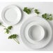 A close-up of a Tuxton Sonoma bright white china bowl with a green stem.