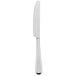 A Oneida Lumos stainless steel dinner knife with a silver handle.