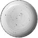 An International Tableware Rotana white porcelain plate with black specks.