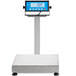 An AvaWeigh digital receiving scale with a stainless steel tower display.