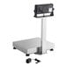 An AvaWeigh stainless steel receiving scale with a black handle.