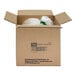 A white cardboard box with a green plastic bag of Tapioca Granules inside.